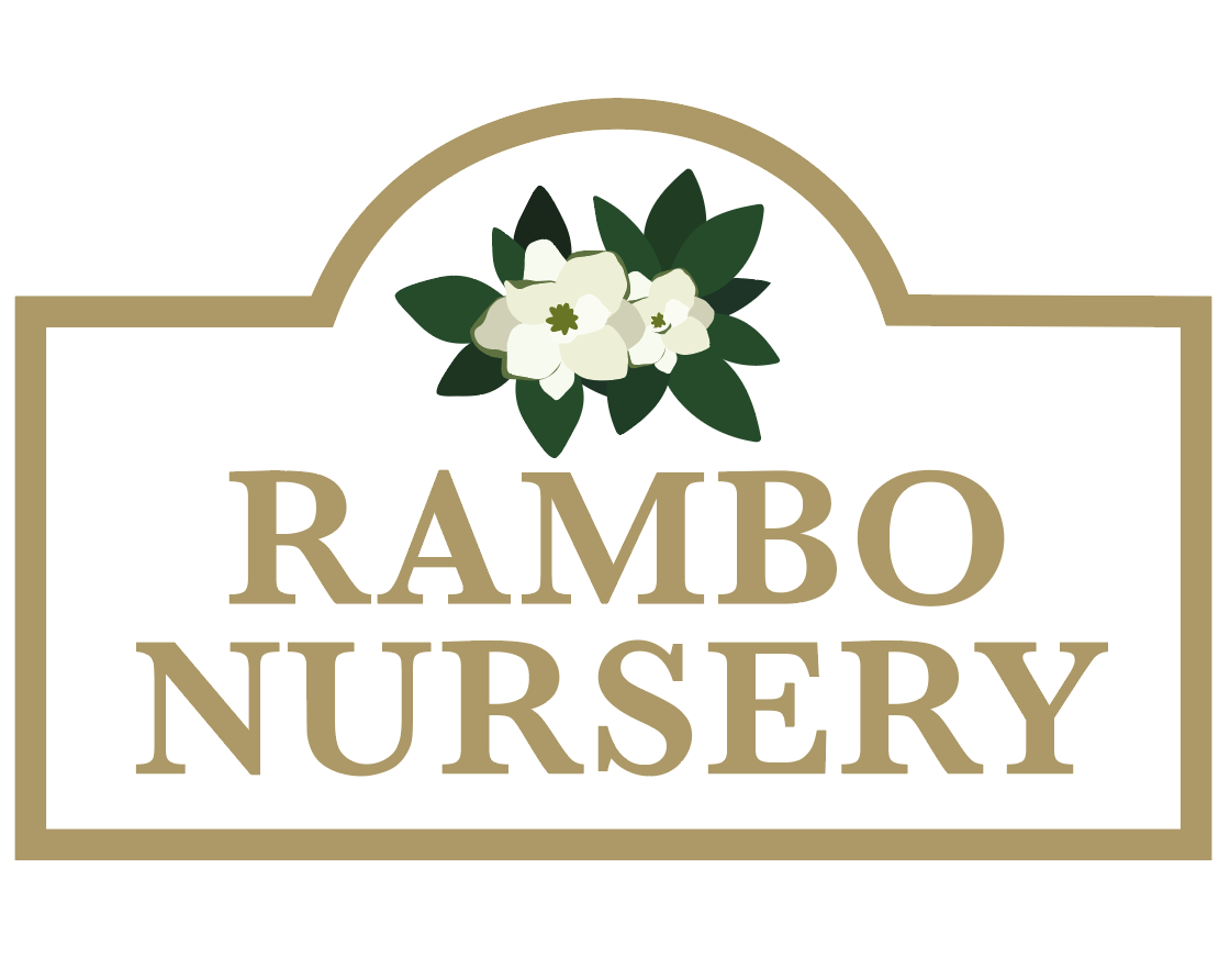 Rambo Nursery