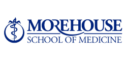 MSM Logo