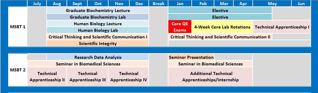 MSBT Curriculum