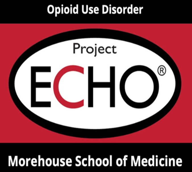 Project ECHO Logo