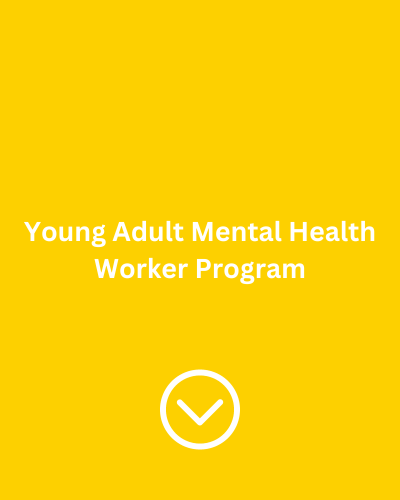 Young Adult Mental Health Worker Program