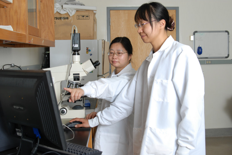 Students in Lab