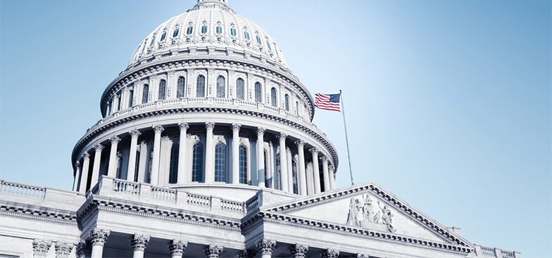 the Capitol building with a flag flying in front