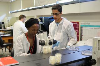 One woman looks into a microscope while another student wathes