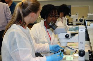 Two woman working with a microscope