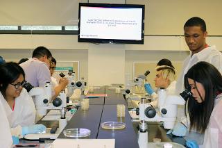 Students working with microscopes around a table