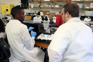 Two men look at a microscope