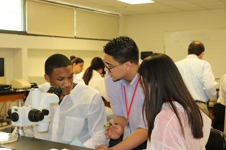 students work in a lab