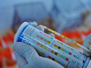 a hand holding a pH testing bottle and testing strip