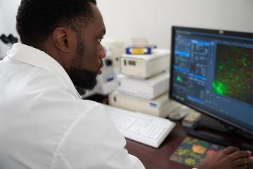 a man wearing a whitecoat works on data analysis on a computer