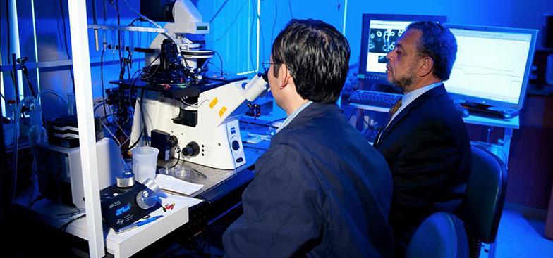 two students work in a lab room