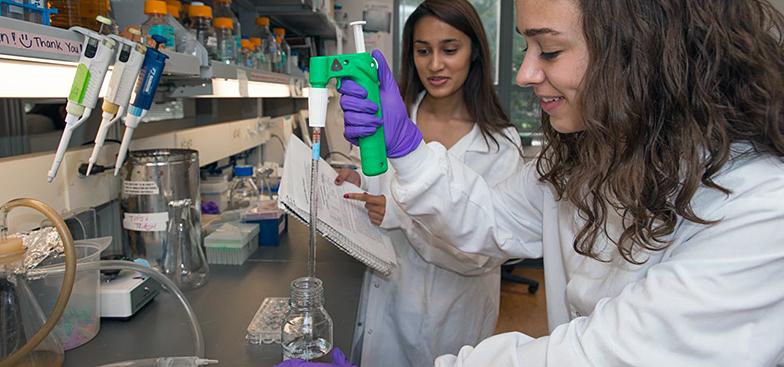 two students work in a lab room