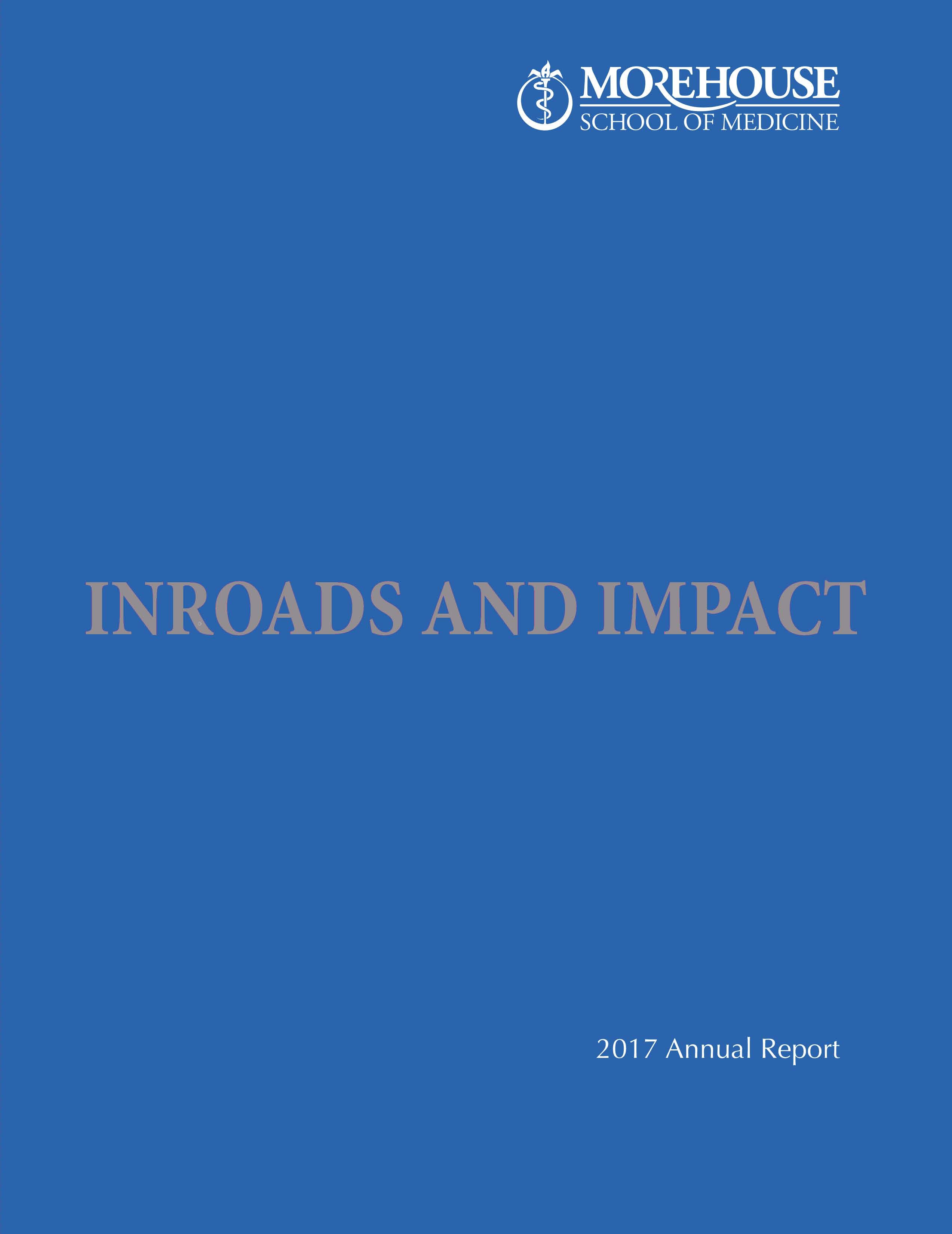 MSM 2017 Annual Report Cover