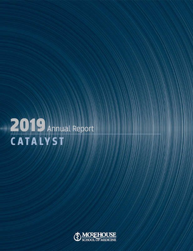 MSM 2019 Annual Report Cover