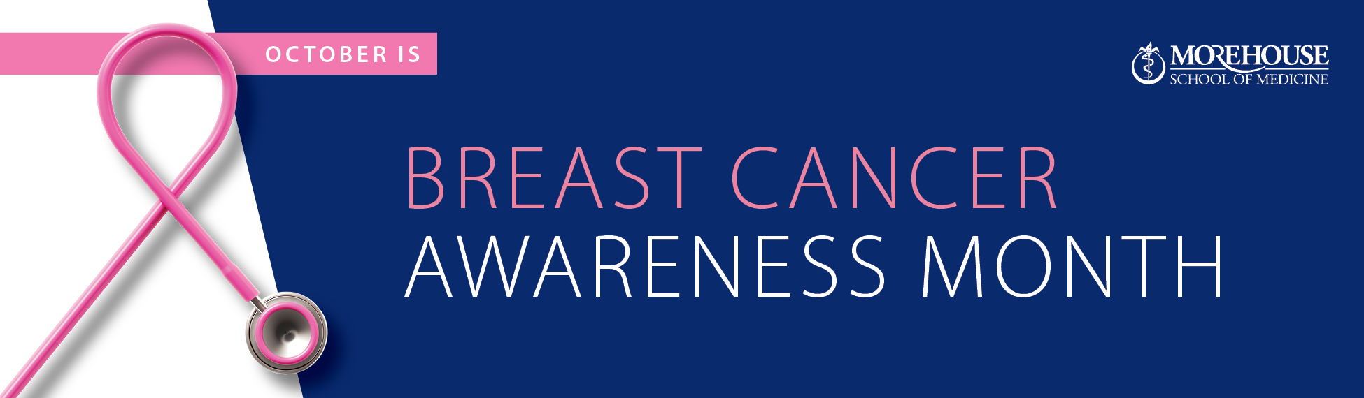 Morehouse School of Medicine MSM Atlanta